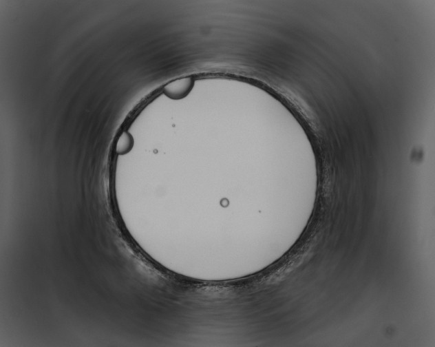 X0000100750888200807171409