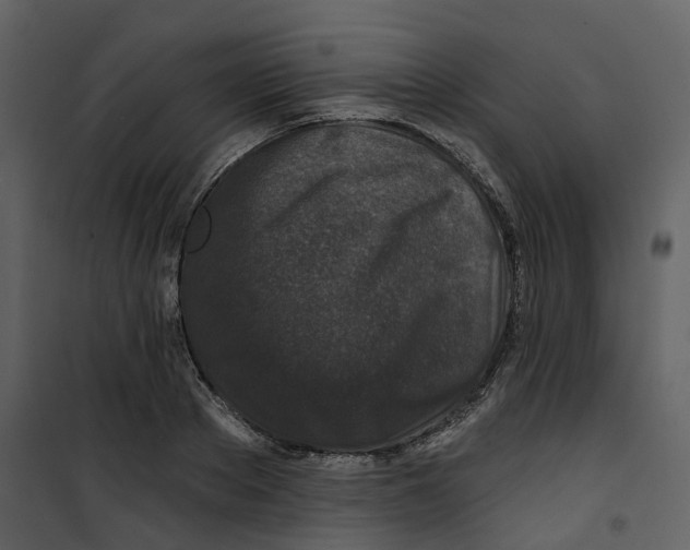 X0000100750889200807171409