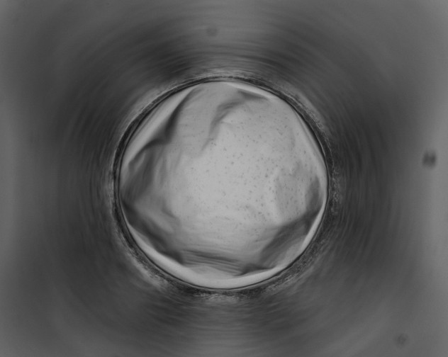 X0000100750890200807171409