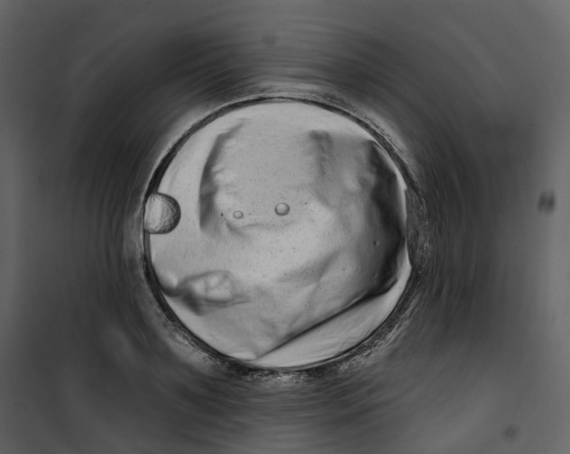 X0000100750891200807171409