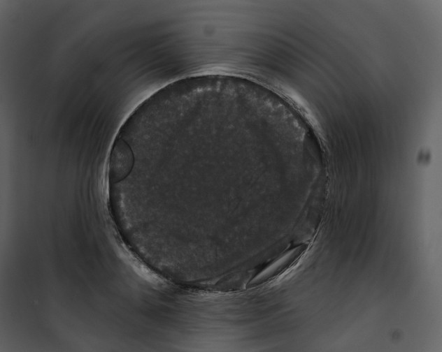 X0000100750892200807171409