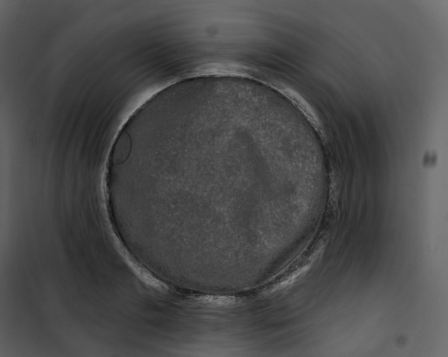 X0000100750893200807171409