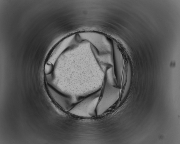 X0000100750894200807171409