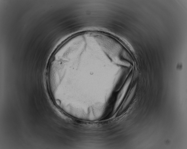 X0000100750895200807171409