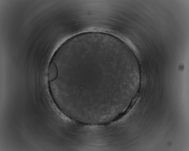 X0000100750896200807171409