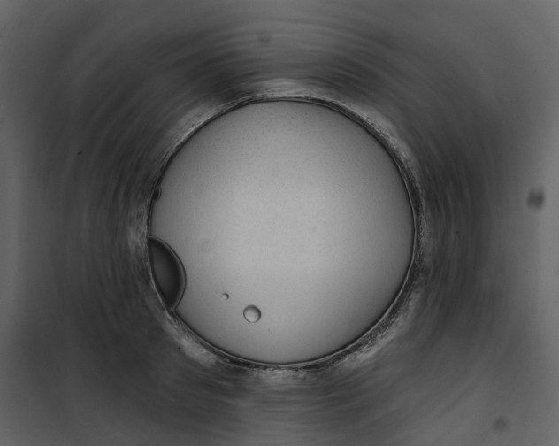 X0000100750897200807171409