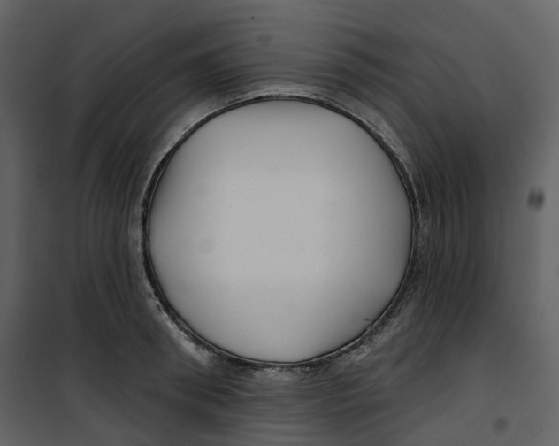 X0000100750898200807171409