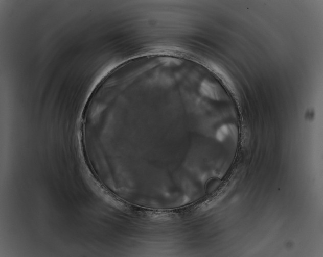 X0000100750899200807171409