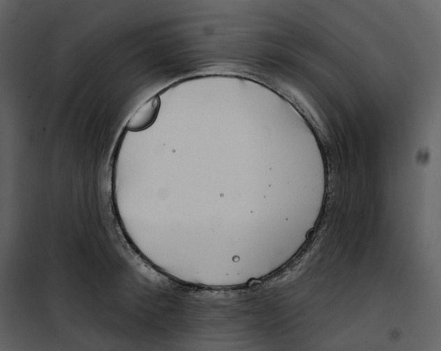 X0000100750900200807171408