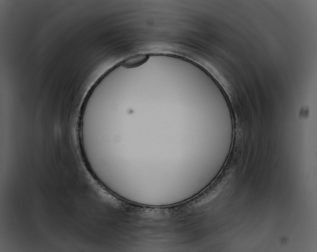 X0000100750901200807171408