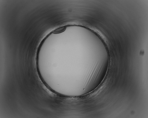 X0000100750902200807171408