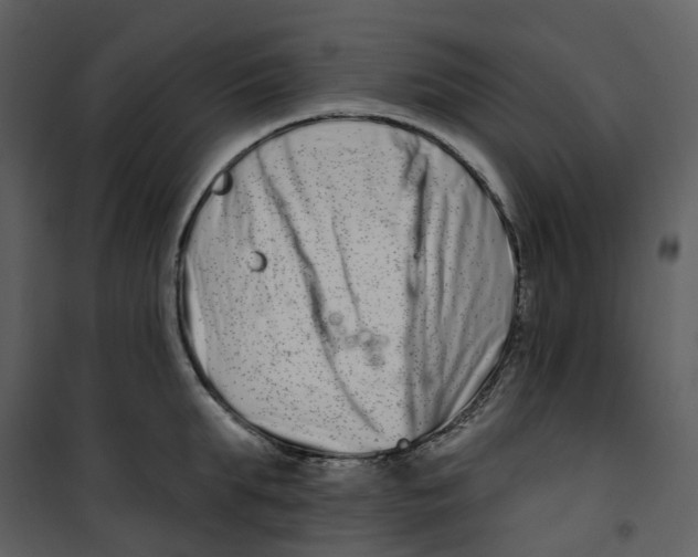 X0000100750903200807171408