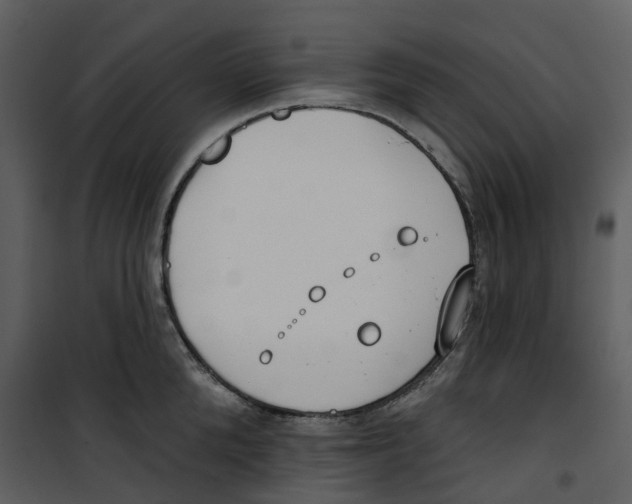X0000100750904200807171408