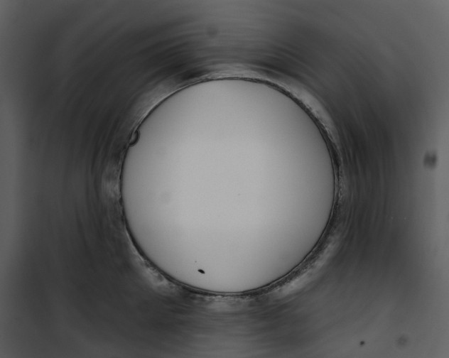X0000100750905200807171408