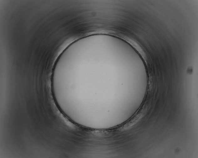 X0000100750906200807171408