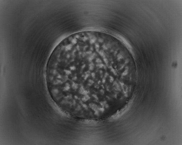 X0000100750907200807171408