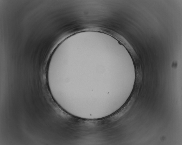 X0000100750908200807171408