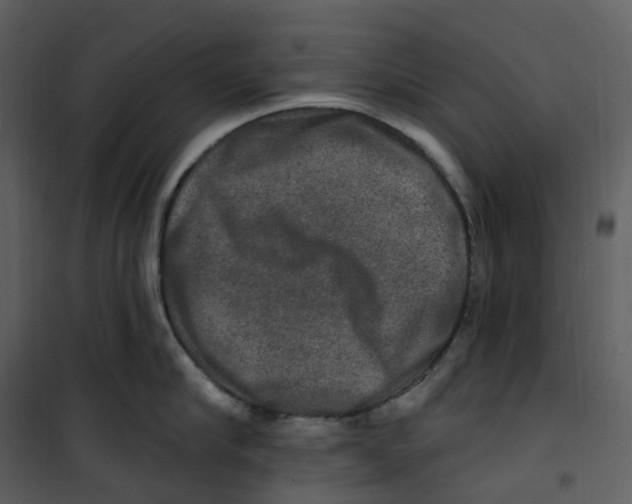 X0000100750910200807171408