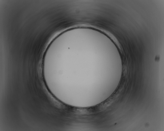X0000100750911200807171408