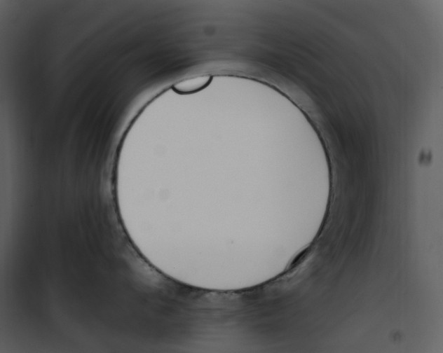 X0000100750912200807171408