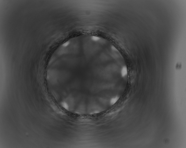 X0000100750913200807171407