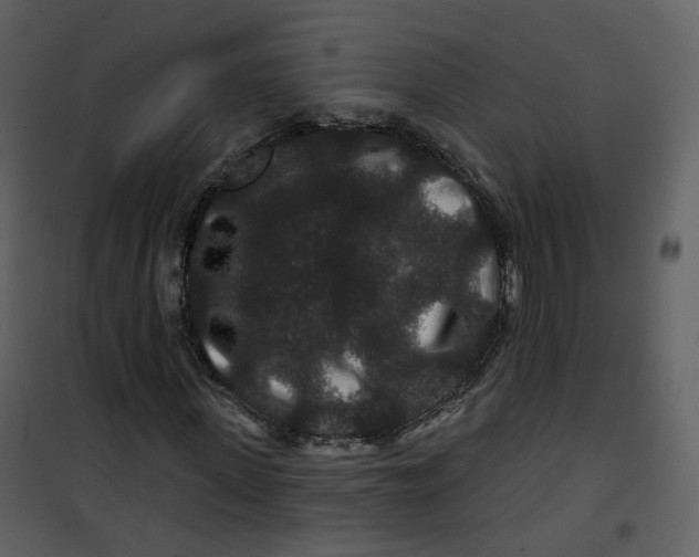 X0000100750915200807171407
