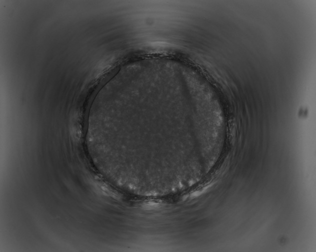 X0000100750916200807171407