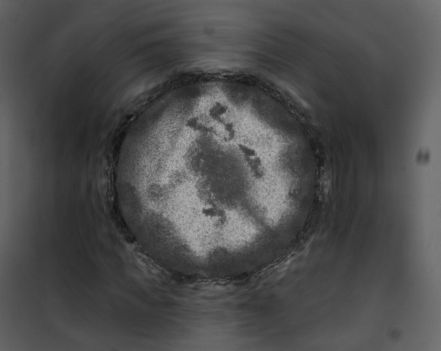 X0000100750917200807171407