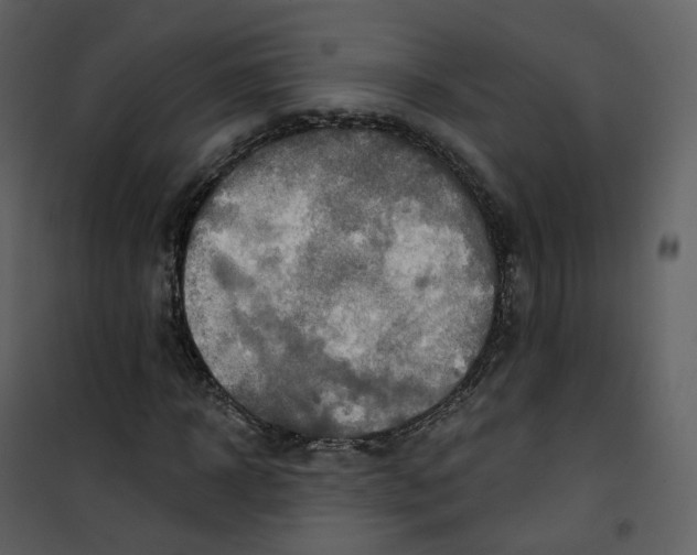 X0000100750918200807171408