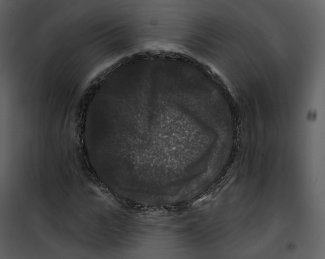 X0000100750919200807171408