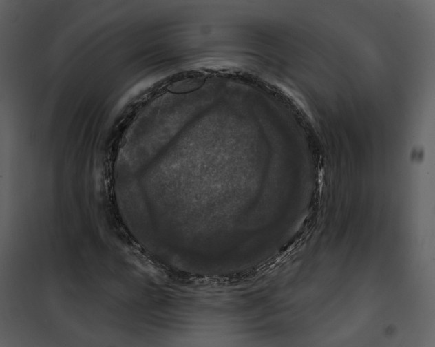 X0000100750920200807171408