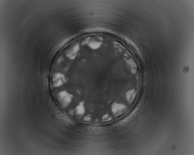 X0000100750921200807171408