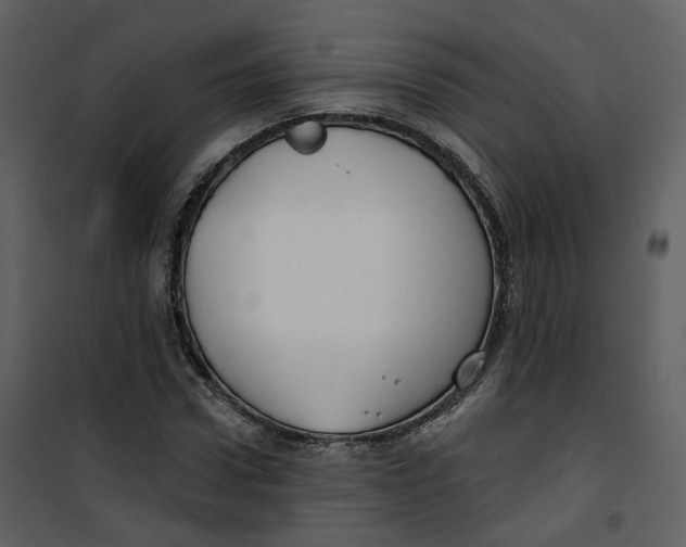 X0000100750922200807171408