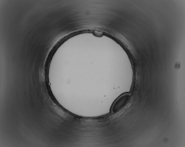X0000100750924200807171408