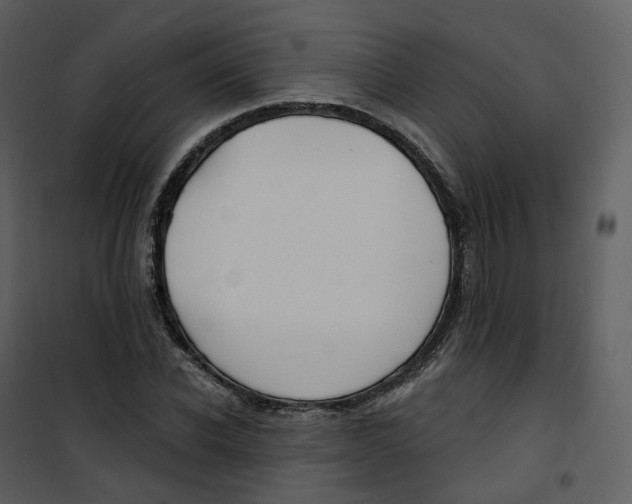 X0000100750926200807171408
