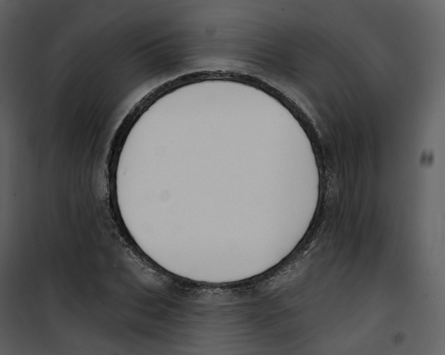 X0000100750927200807171408