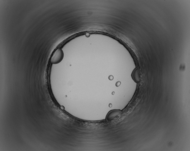 X0000100750928200807171408