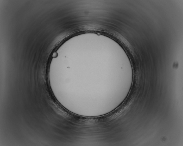 X0000100750930200807171408