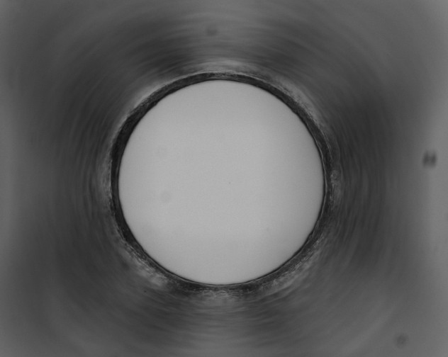 X0000100750931200807171408