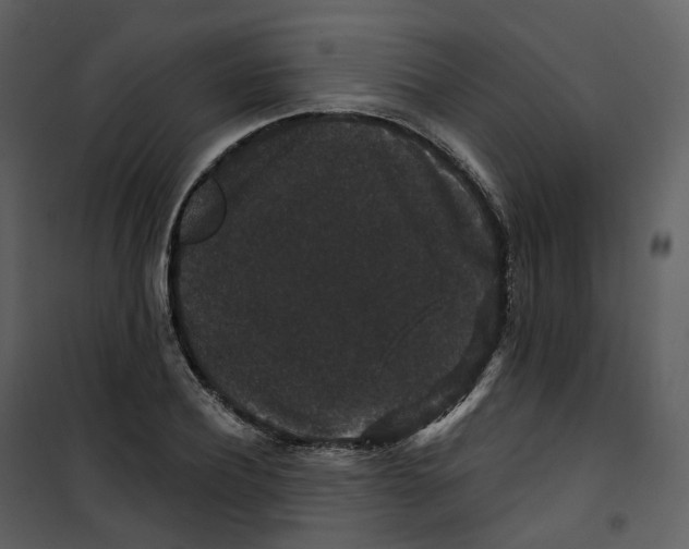 X0000100750932200807171408