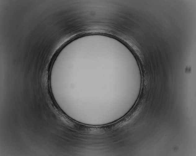 X0000100750933200807171408