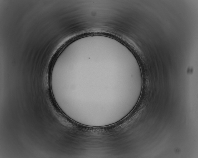 X0000100750934200807171408