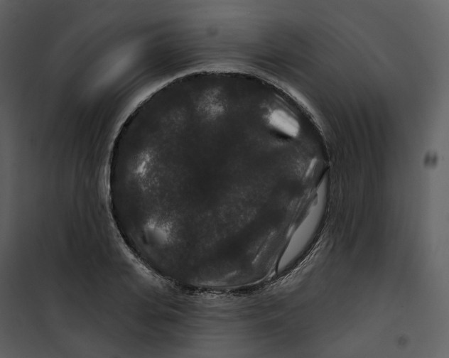 X0000100750935200807171408