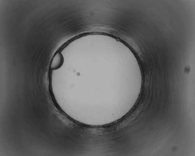 X0000100750936200807171408