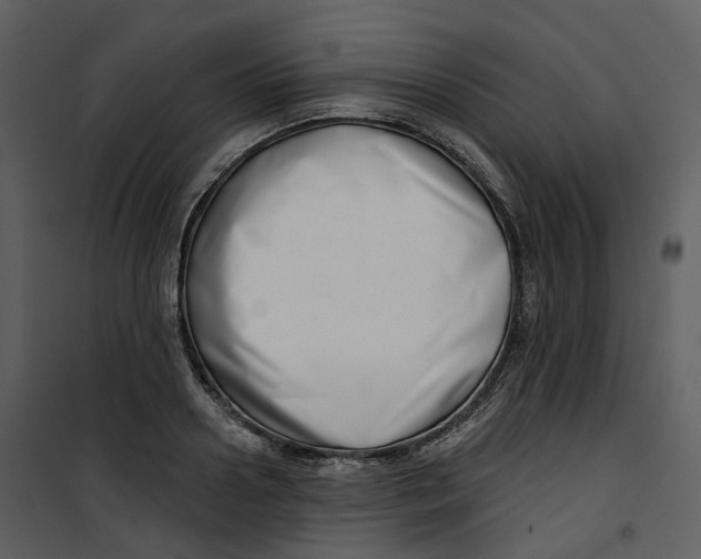 X0000100750938200807171408