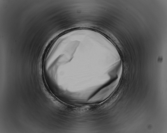 X0000100750939200807171408
