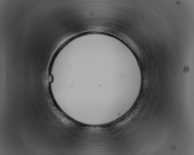 X0000100750940200807171408
