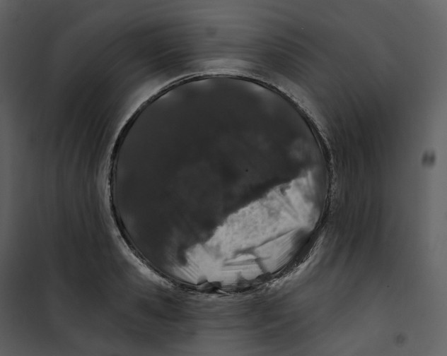 X0000100750941200807171408