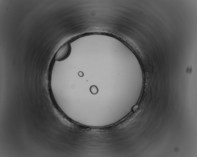 X0000100750942200807171408