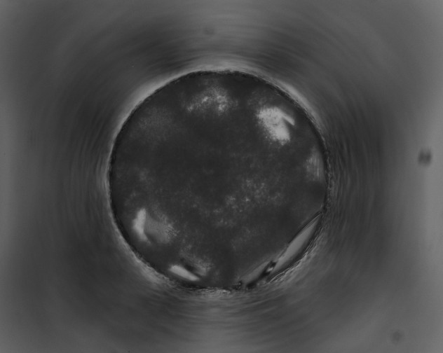 X0000100750943200807171408